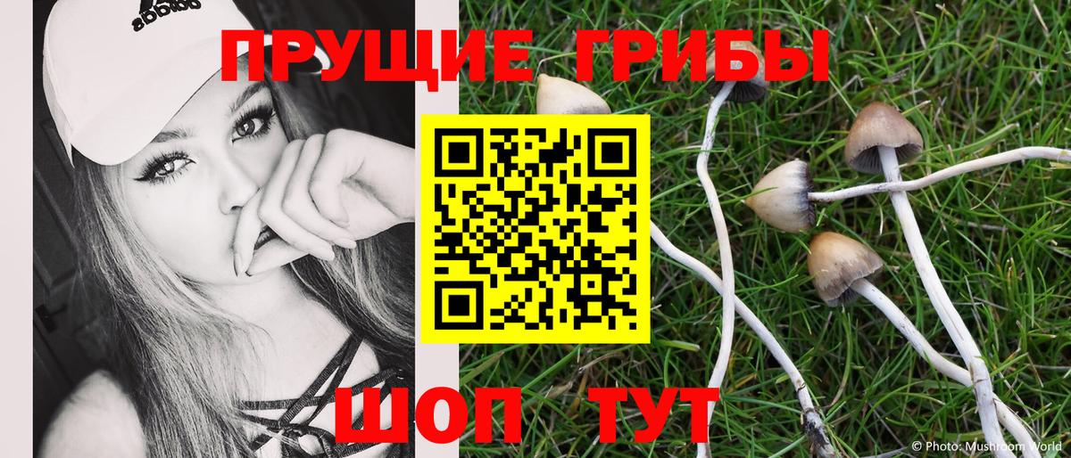 Нягань  Галлюциногенные грибы MAGIC MUSHROOMS  Вход с VPN 